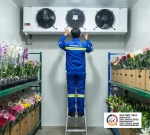 Teknisi BJT Ahli Cold Room: Solusi Terbaik untuk Cold Storage Anda